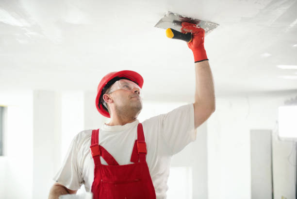 Best Mold Prevention Services  in Lackland Af, TX