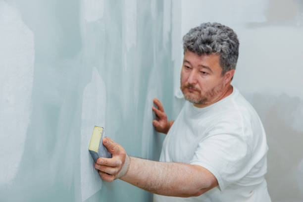 Best Black Mold Removal  in Lackland Af, TX